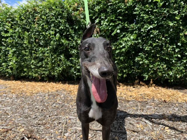 Photo of Storm