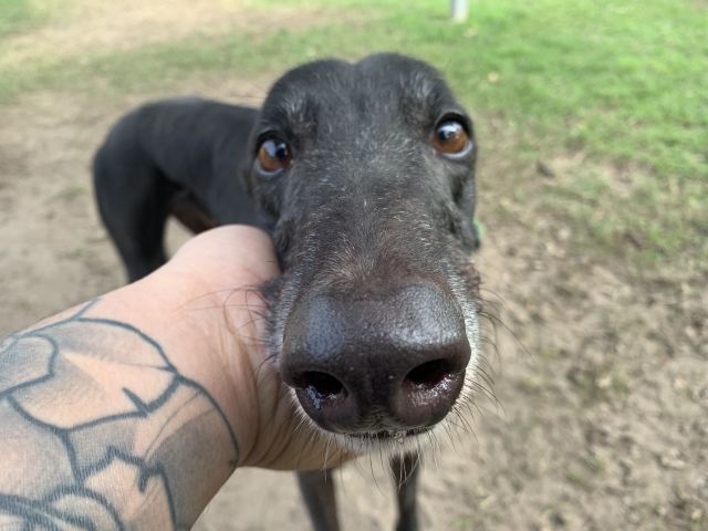 Photo of Jake