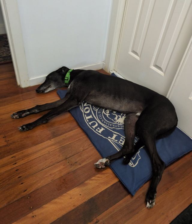 Photo of Kevin