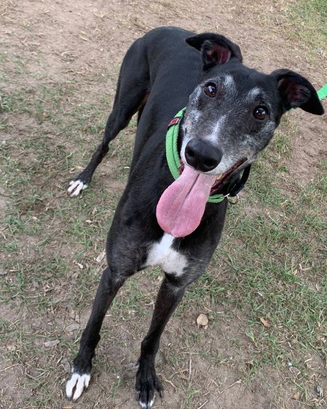 Photo of Benny