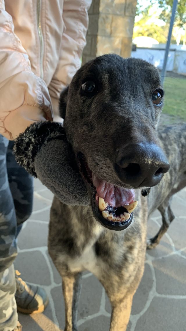 Photo of Oakley
