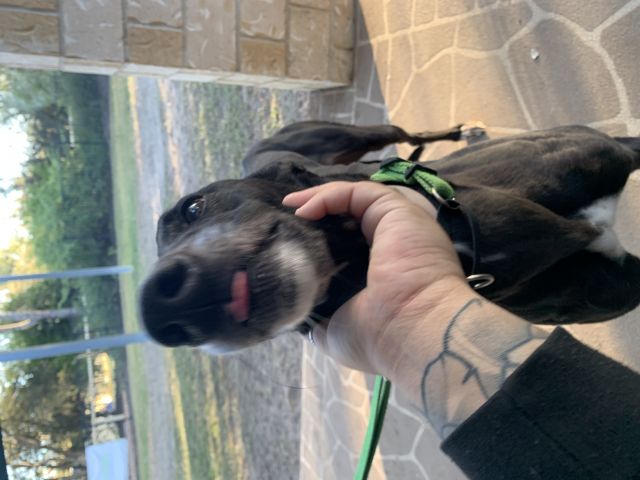 Photo of Molly
