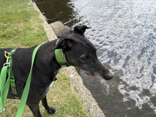Photo of Ernie