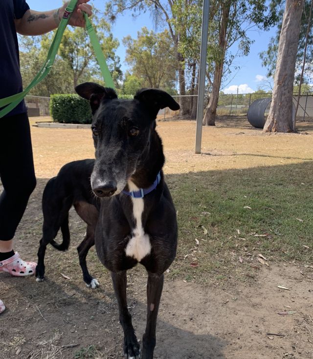 Photo of Storm