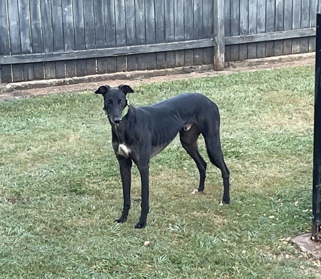 Photo of Kevin