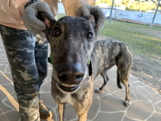 Photo of Oakley