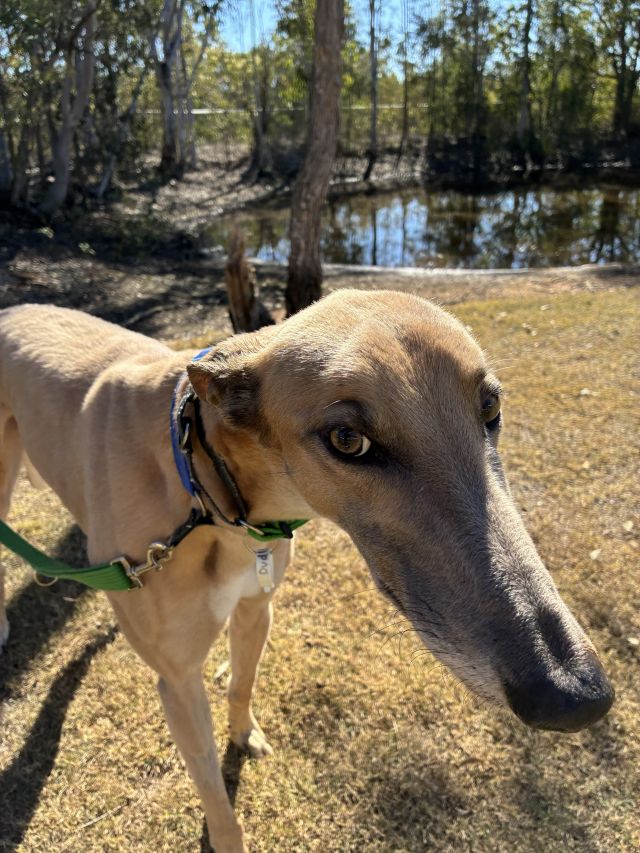 Photo of Dudley