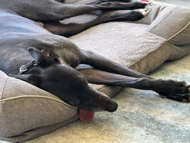 Photo of Ernie
