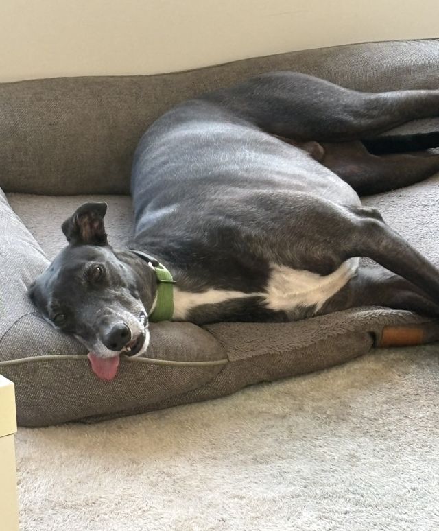 Photo of Ernie