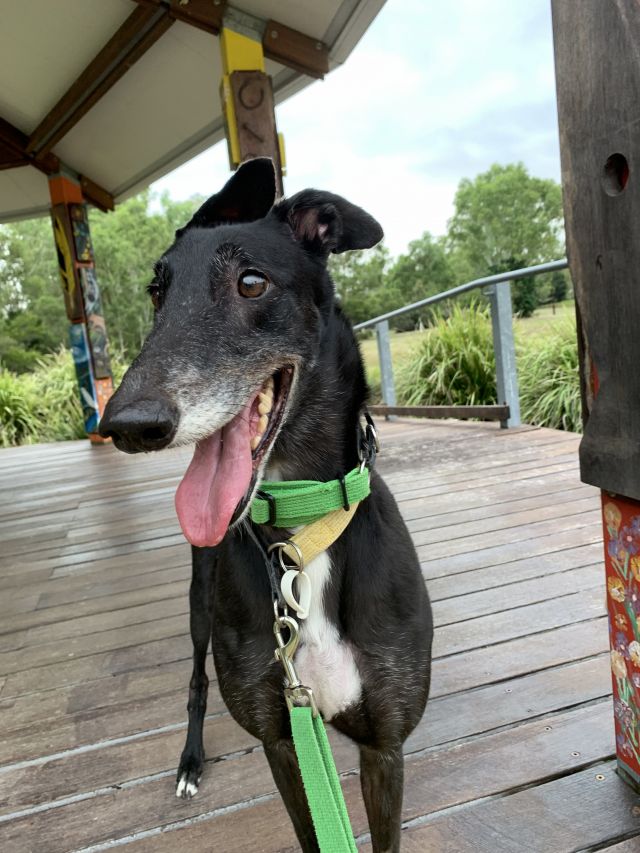 Photo of Storm