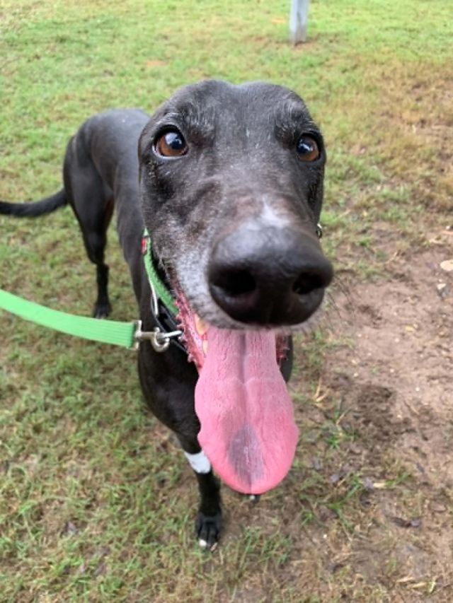 Photo of Ripley