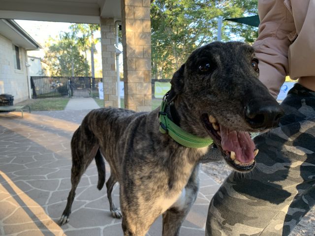 Photo of Oakley