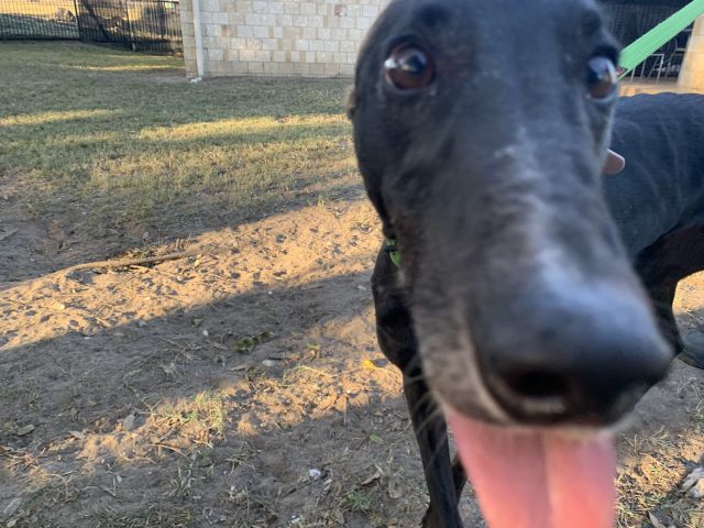 Photo of Molly