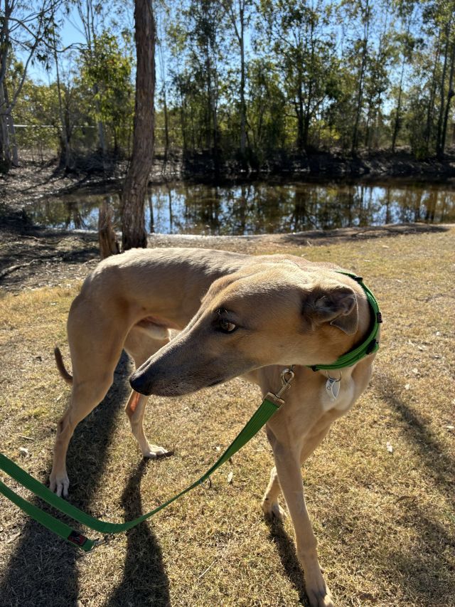 Photo of Dudley