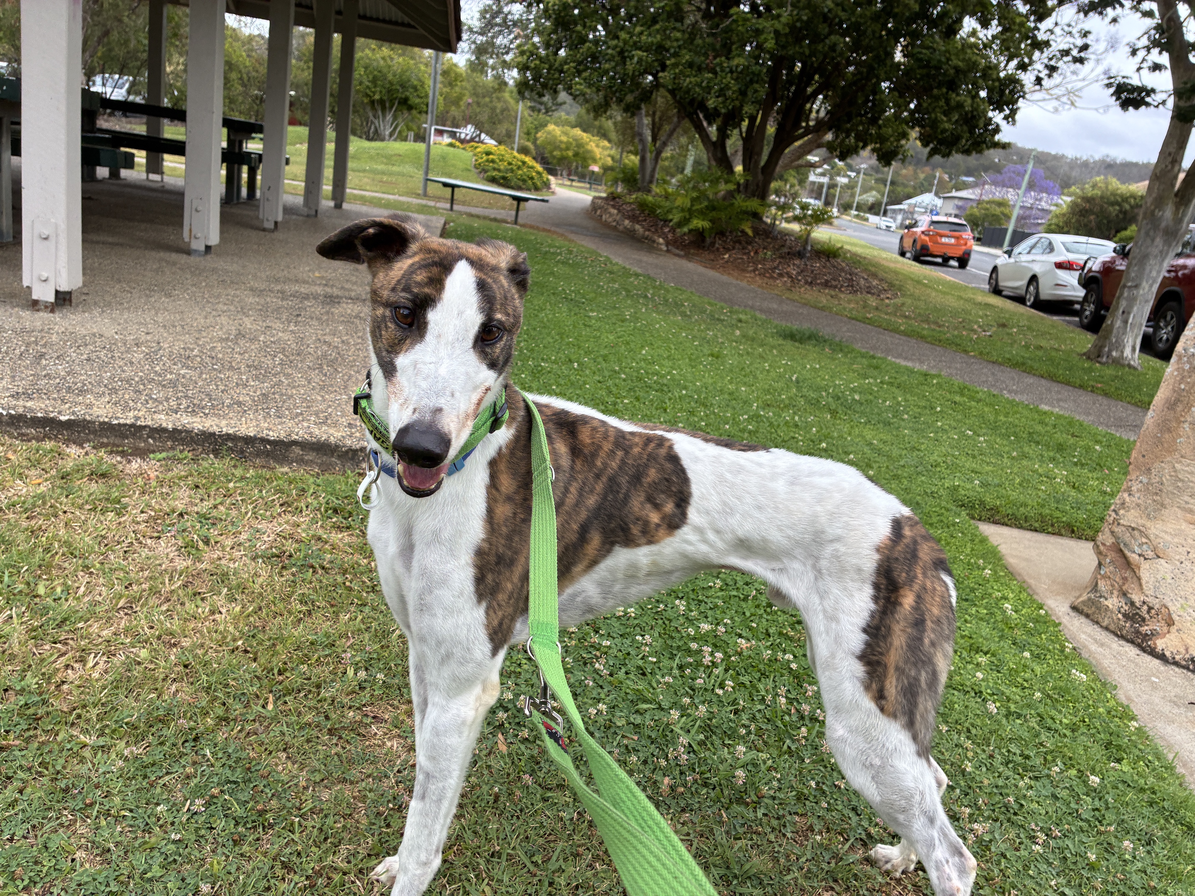 Image of Dozer