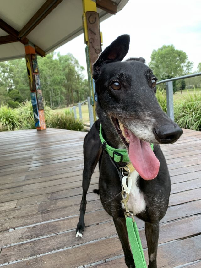 Photo of Storm