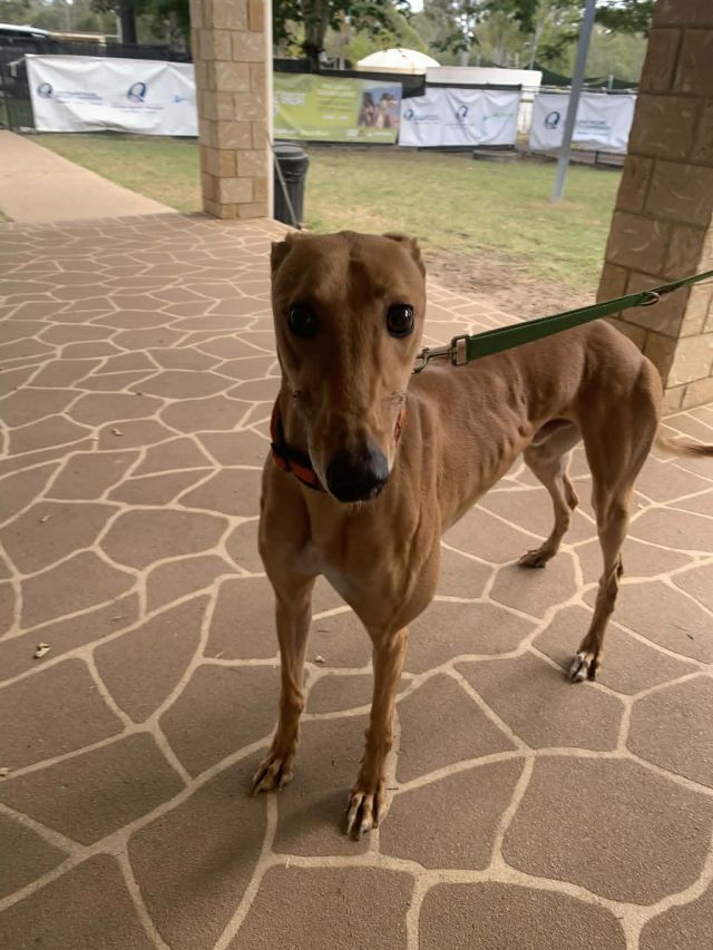 Photo of Tommy