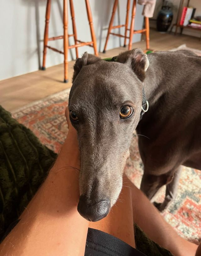 Photo of Jesse