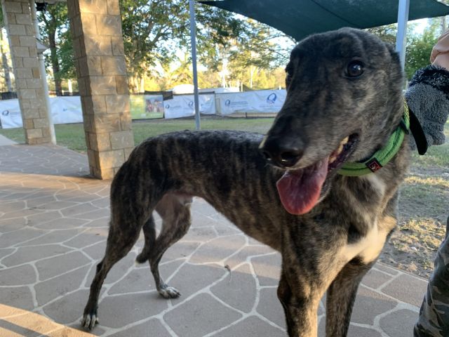 Photo of Oakley
