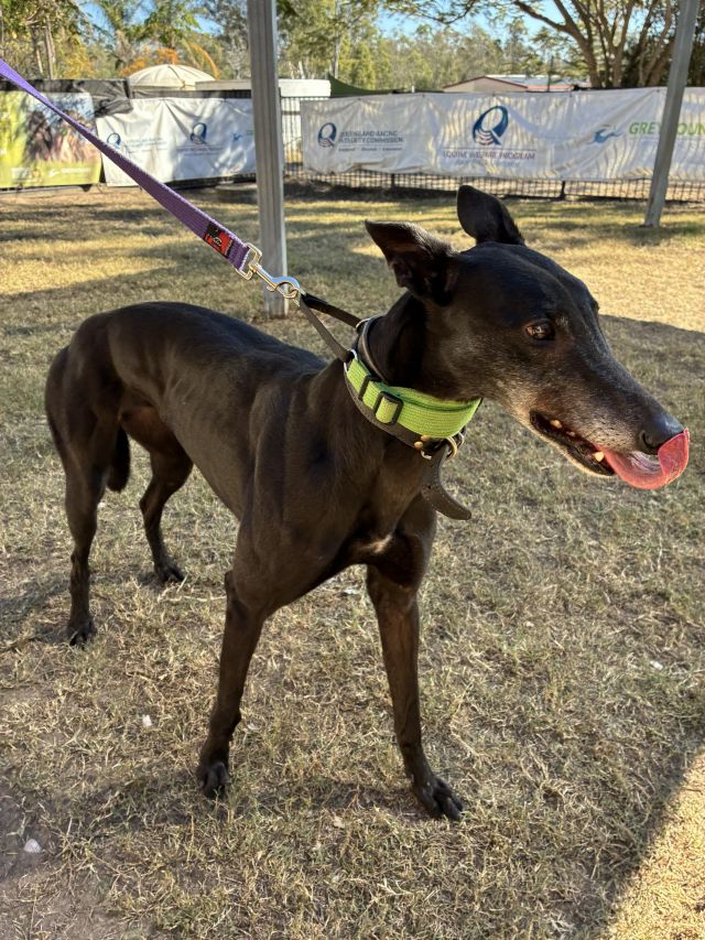 Photo of Cindy