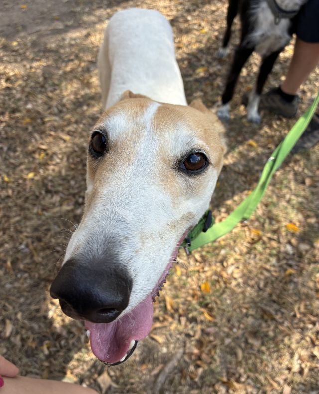 Photo of Rosie