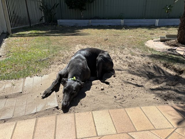 Photo of Ernie