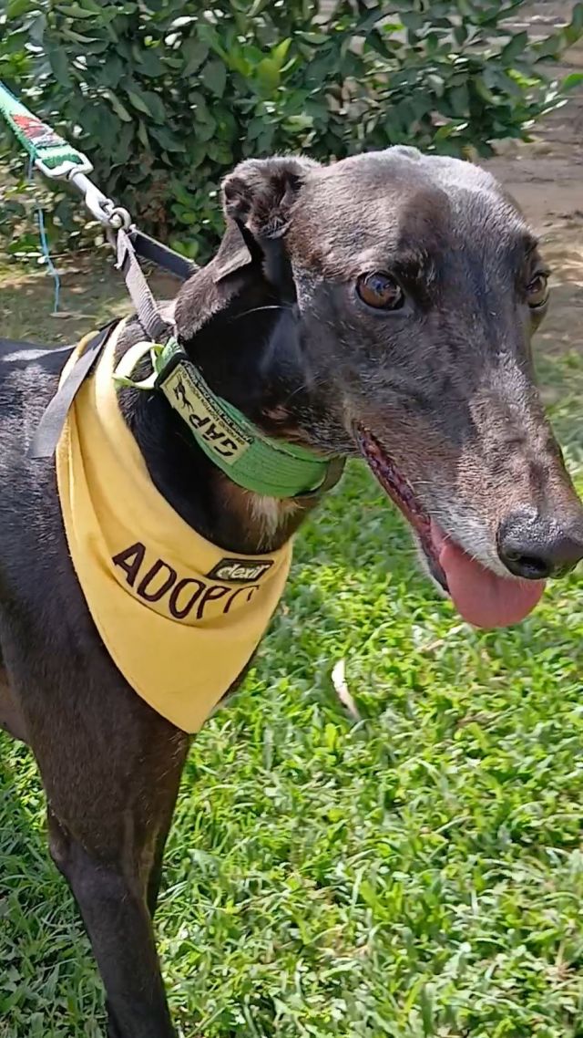Photo of Barry