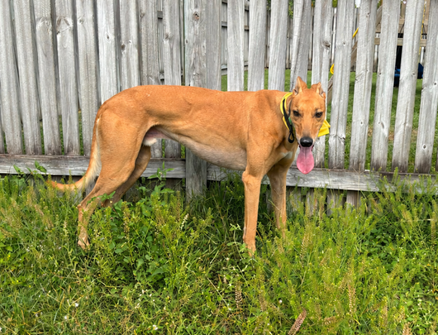 Photo of Jack