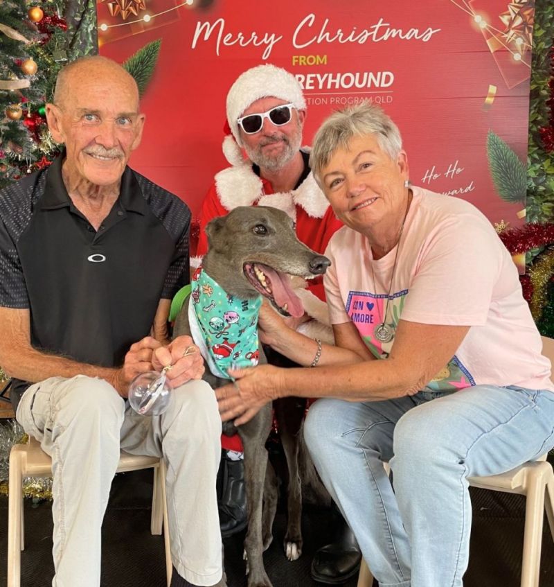 Photo of Ian and Liz with their greyhound gift Sally