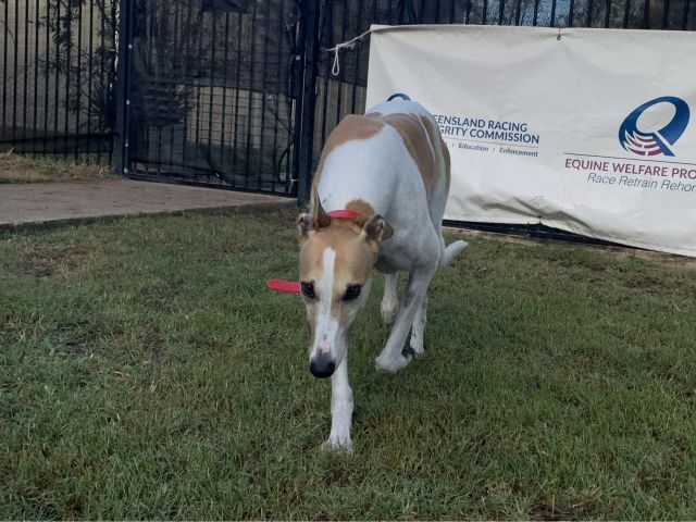 Photo of Cyndie Lou