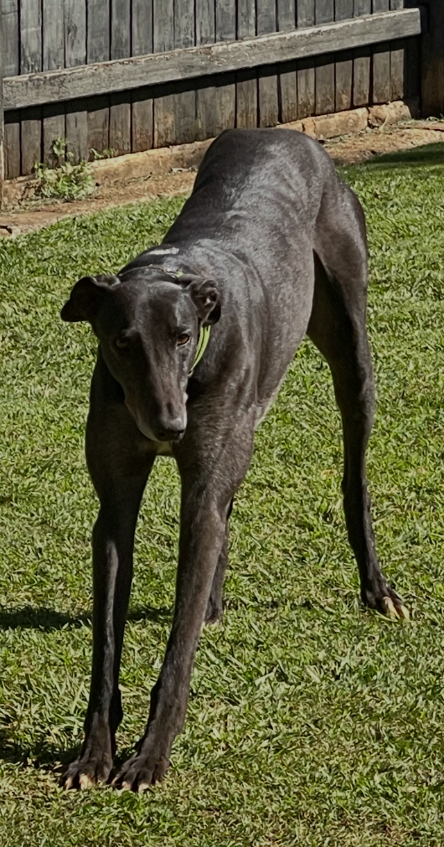 Photo of Kevin