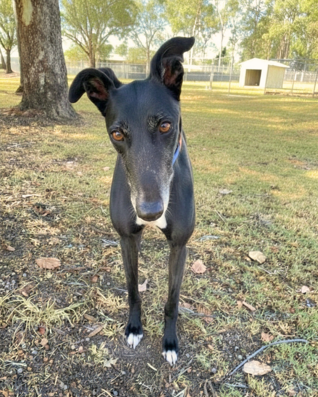 Photo of Bobby