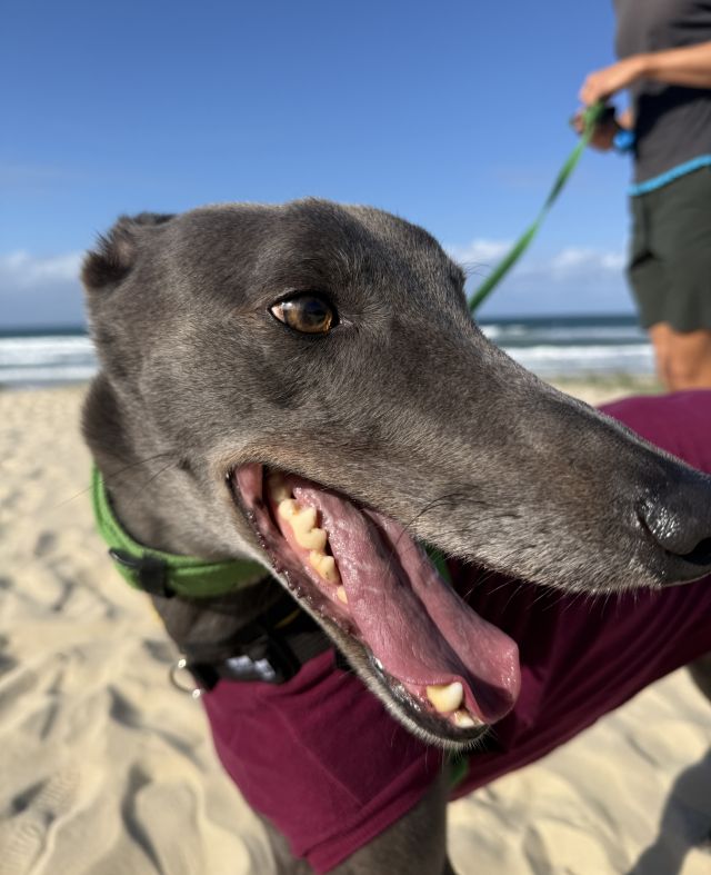 Photo of Jesse