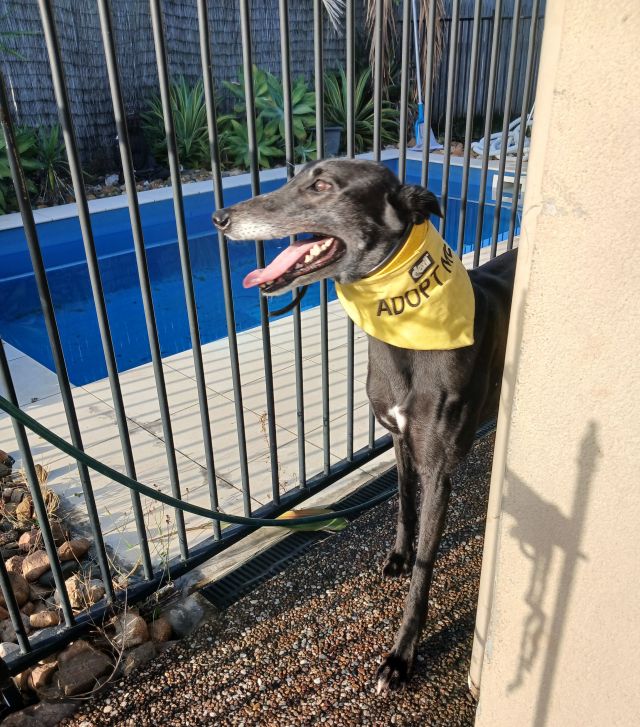 Photo of Bindi
