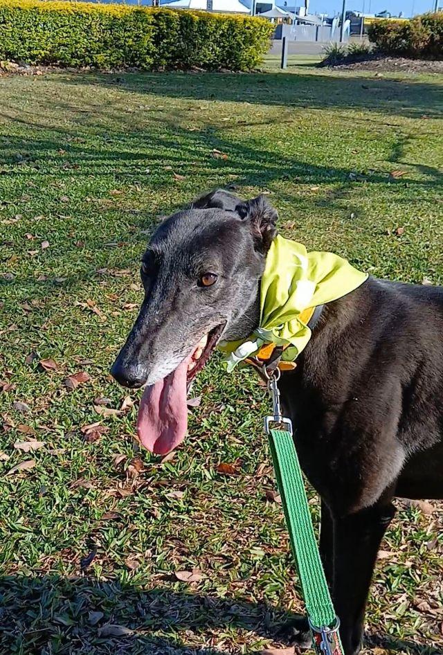 Photo of Bindi