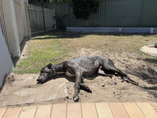 Photo of Ernie