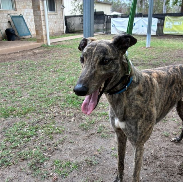 Photo of Major