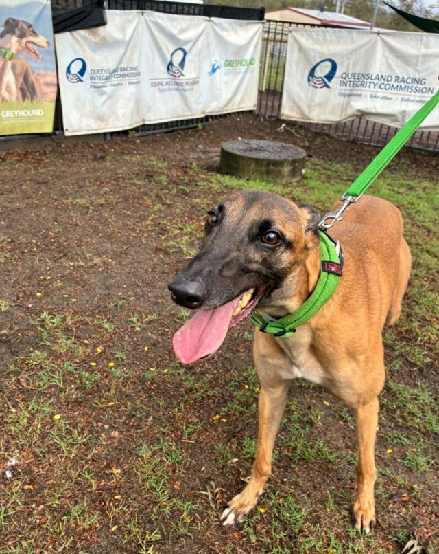 Photo of Max