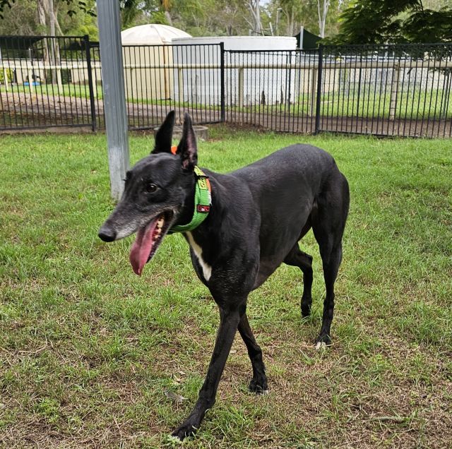 Photo of Storm