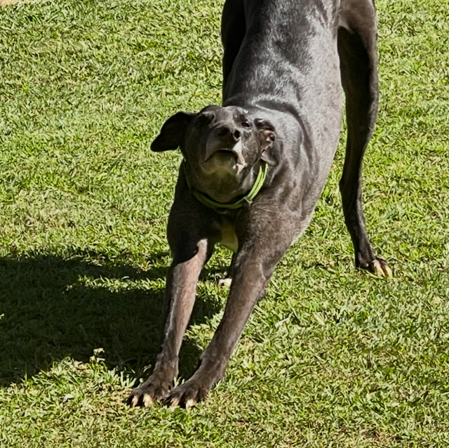 Photo of Kevin