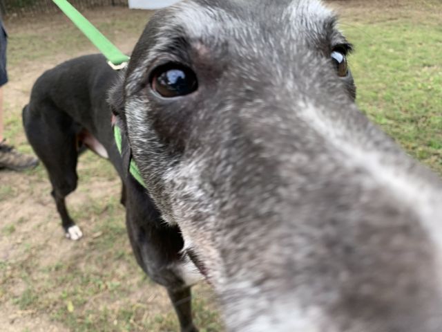 Photo of Benny