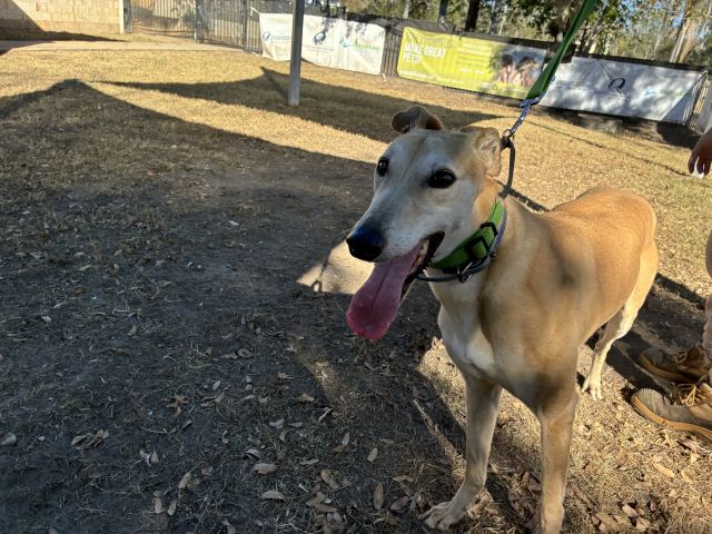 Photo of Sandy