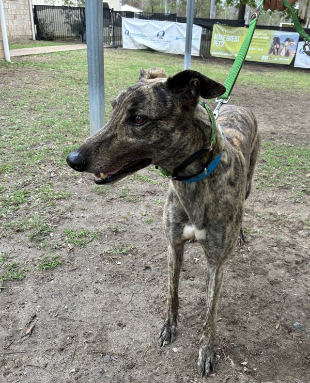Photo of Major