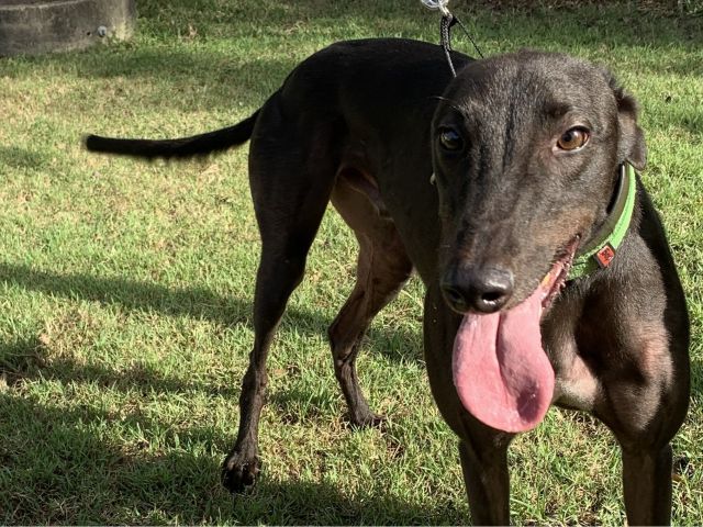Photo of Wally