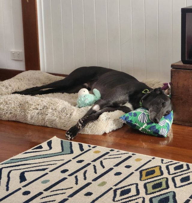 Photo of Kevin