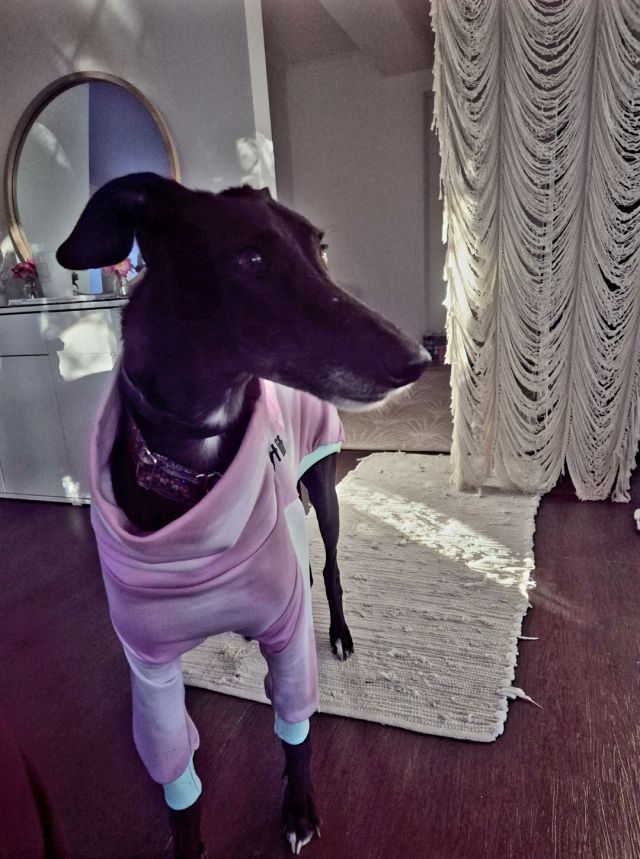 Photo of Gigi