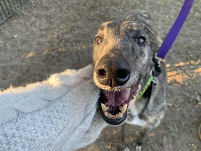 Photo of Oakley