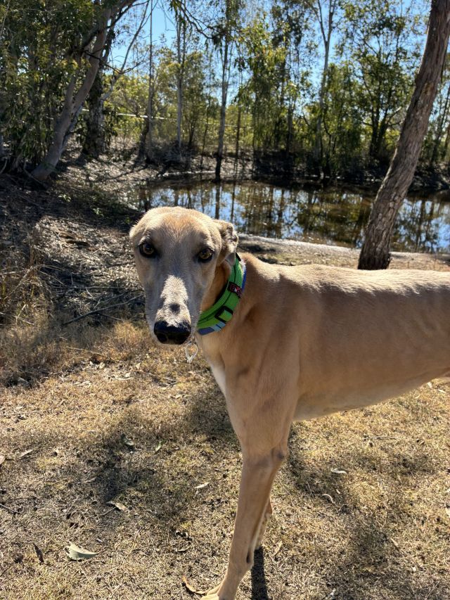 Photo of Dudley