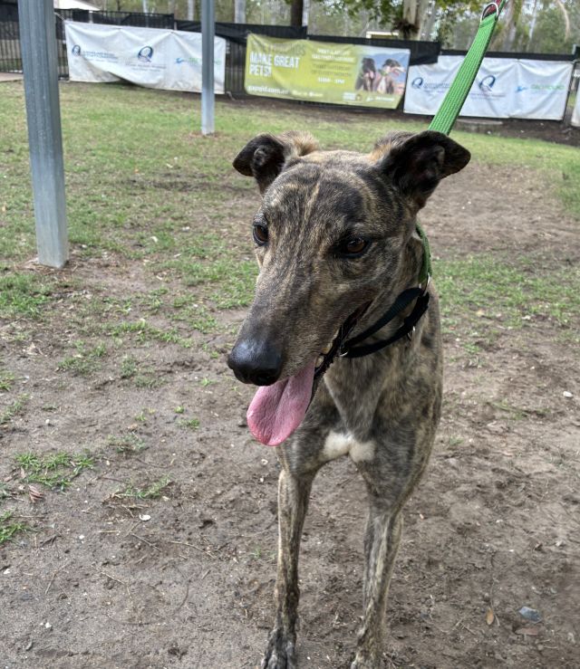 Photo of Major