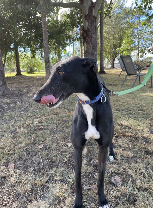 Photo of Bobby